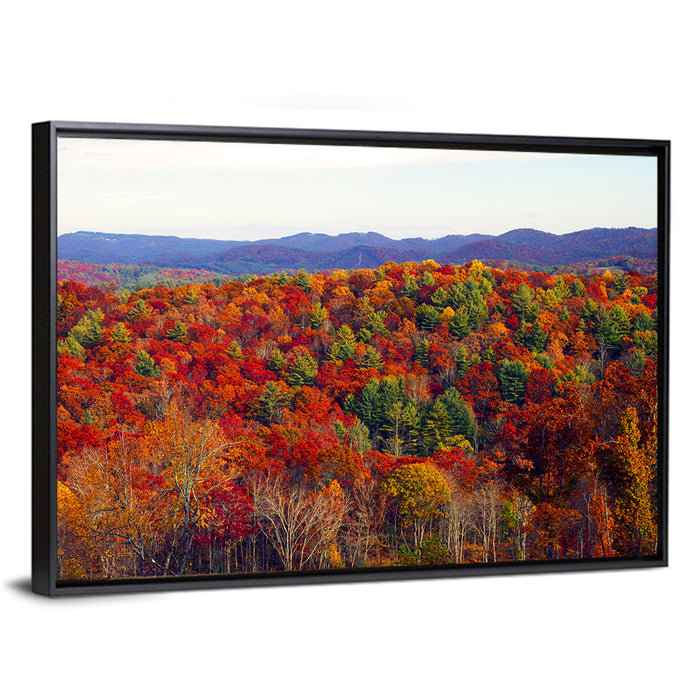 Autumn in the Appalachian Forest Wall Art as a framed canvas