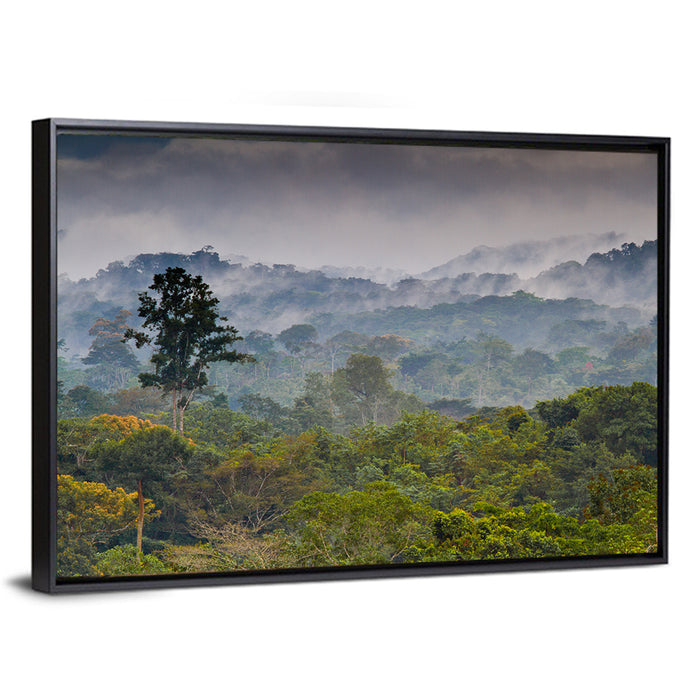 Guinea Rainforest Landscape Wall Art as a framed canvas