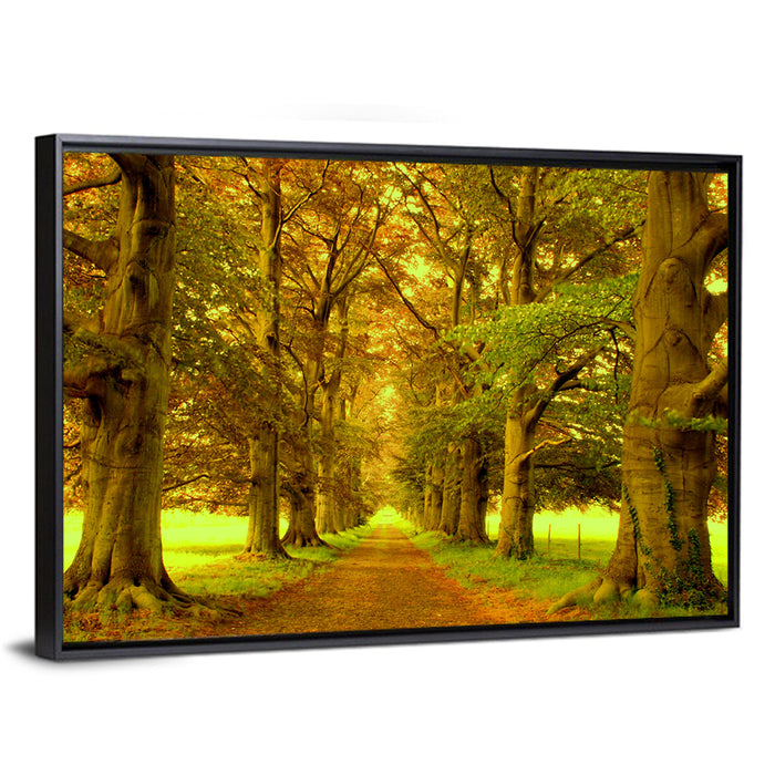 Beech Tree Lane at Golden Hour Wall Art as a framed canvas