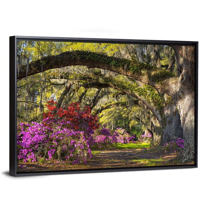 Azalea Garden Path Wall Art as a framed canvas