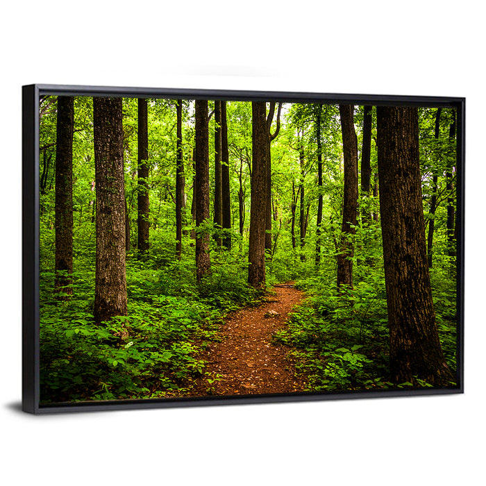 Shenandoah National Park Trail Wall Art as a framed canvas
