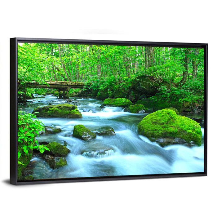 Mossy Forest Stream Wall Art as a framed canvas
