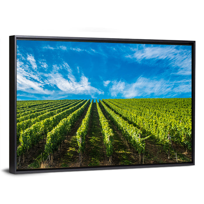 Luxembourg Vineyards Wall Art as a framed canvas