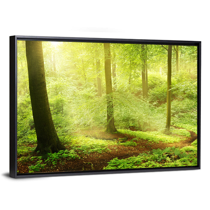 Sunlit Forest Path Wall Art as a framed canvas