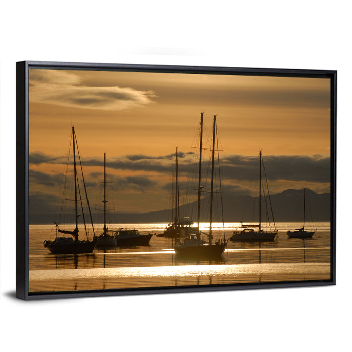 Sailboats at Sunrise Wall Art as a framed canvas