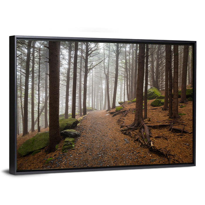 Misty Appalachian Trail Path Wall Art as a framed canvas