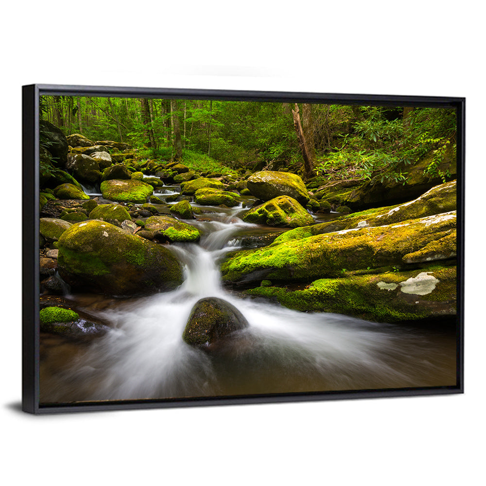 Green Forest Stream Wall Art