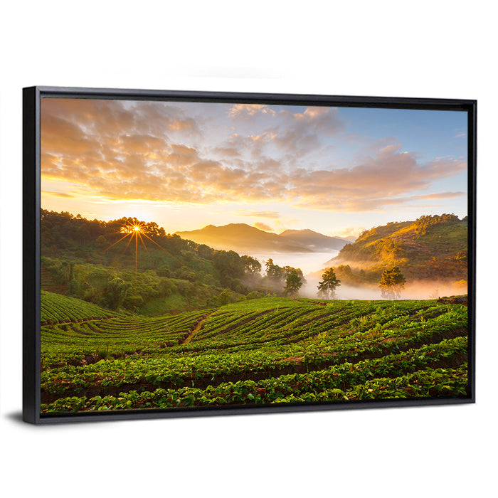 Strawberry Fields Sunrise Wall Art as a framed canvas