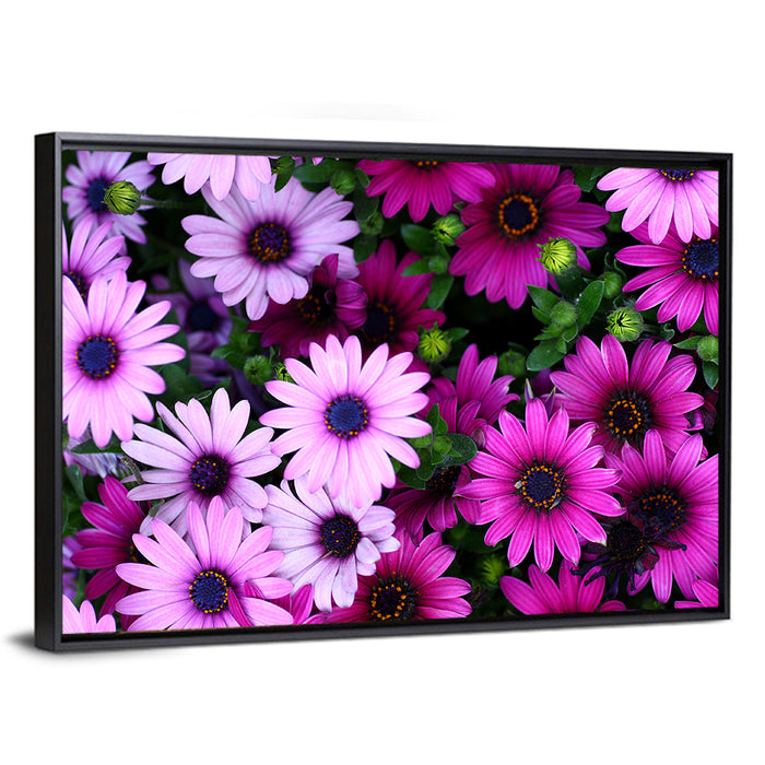 Pink and Purple Daisies Wall Art as a framed canvas