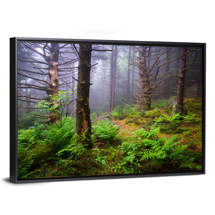Misty Spruce-fir Trail Wall Art as a framed canvas