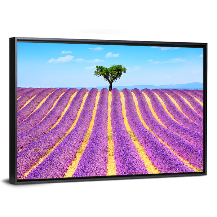 Lavender Field Wall Art as a framed canvas