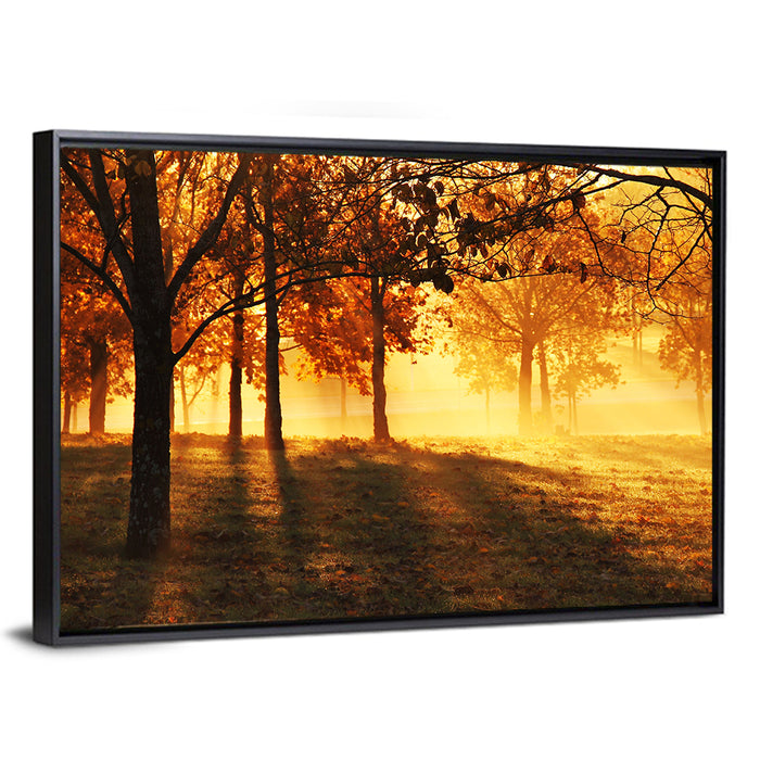 Autumn Sunbeams Through Fog Wall Art as a framed canvas