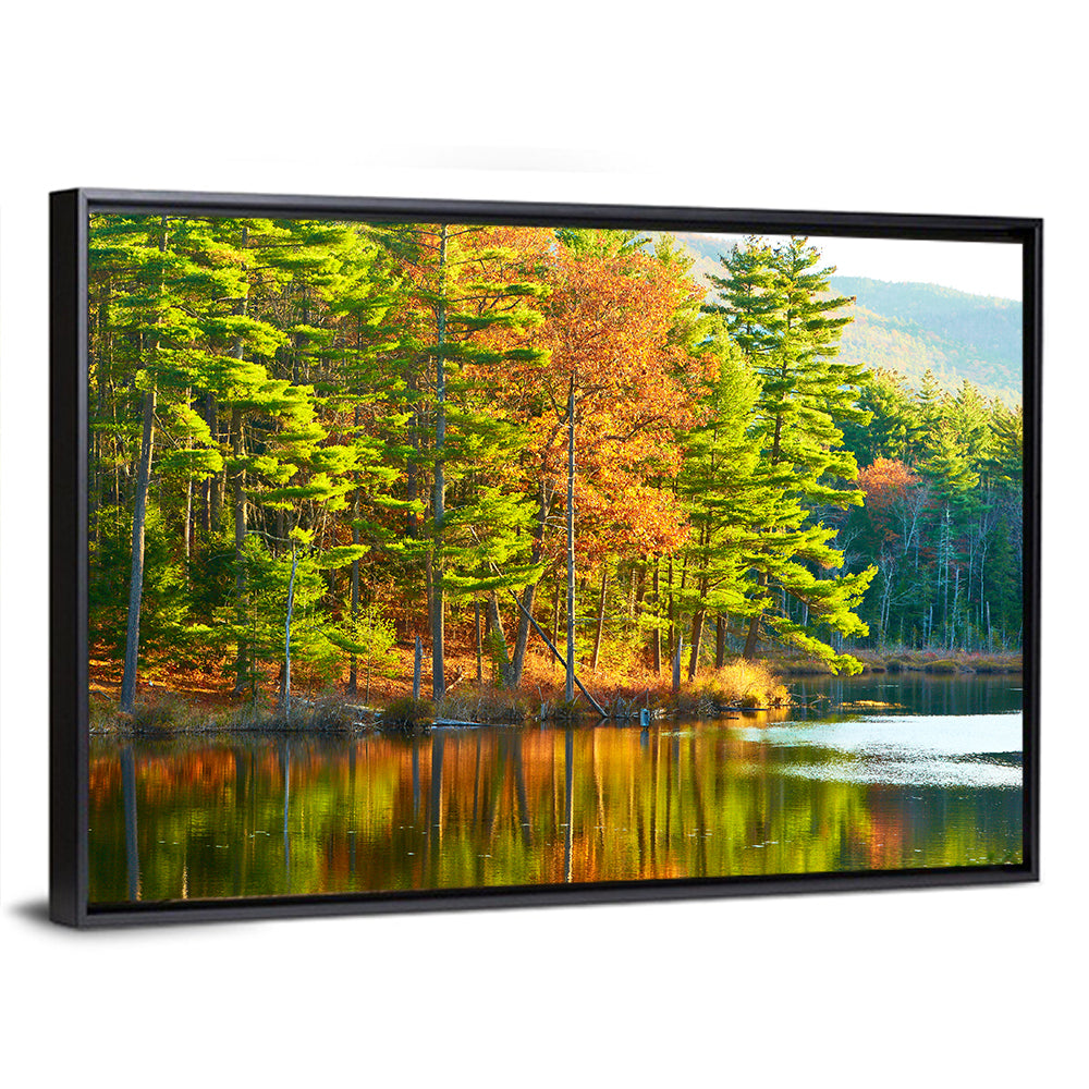 White Mountain National Forest I Wall Art