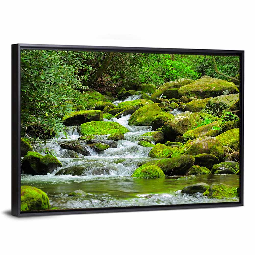Cascading Mountain Stream Wall Art