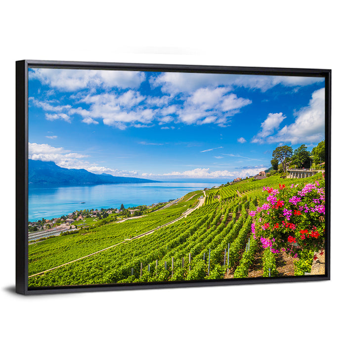 Lavaux Wine Region Wall Art as a framed canvas