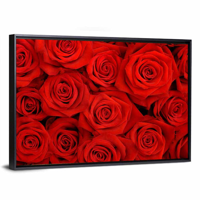 Red Roses Close Up Wall Art as a framed canvas