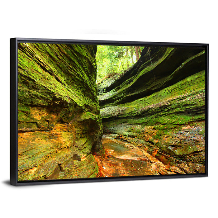 Turkey Run State Park Canyon Wall Art as a framed canvas