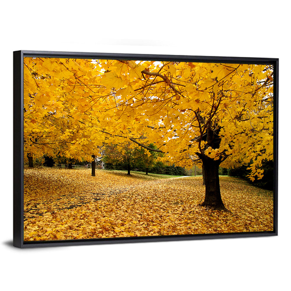Baltimore Fall Foliage Wall Art
