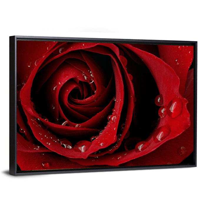 Red Rose with Dew Drops Wall Art as a framed canvas