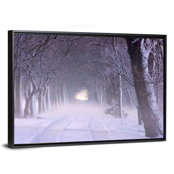 Kuressaare Park Snowy Path Wall Art as a framed canvas