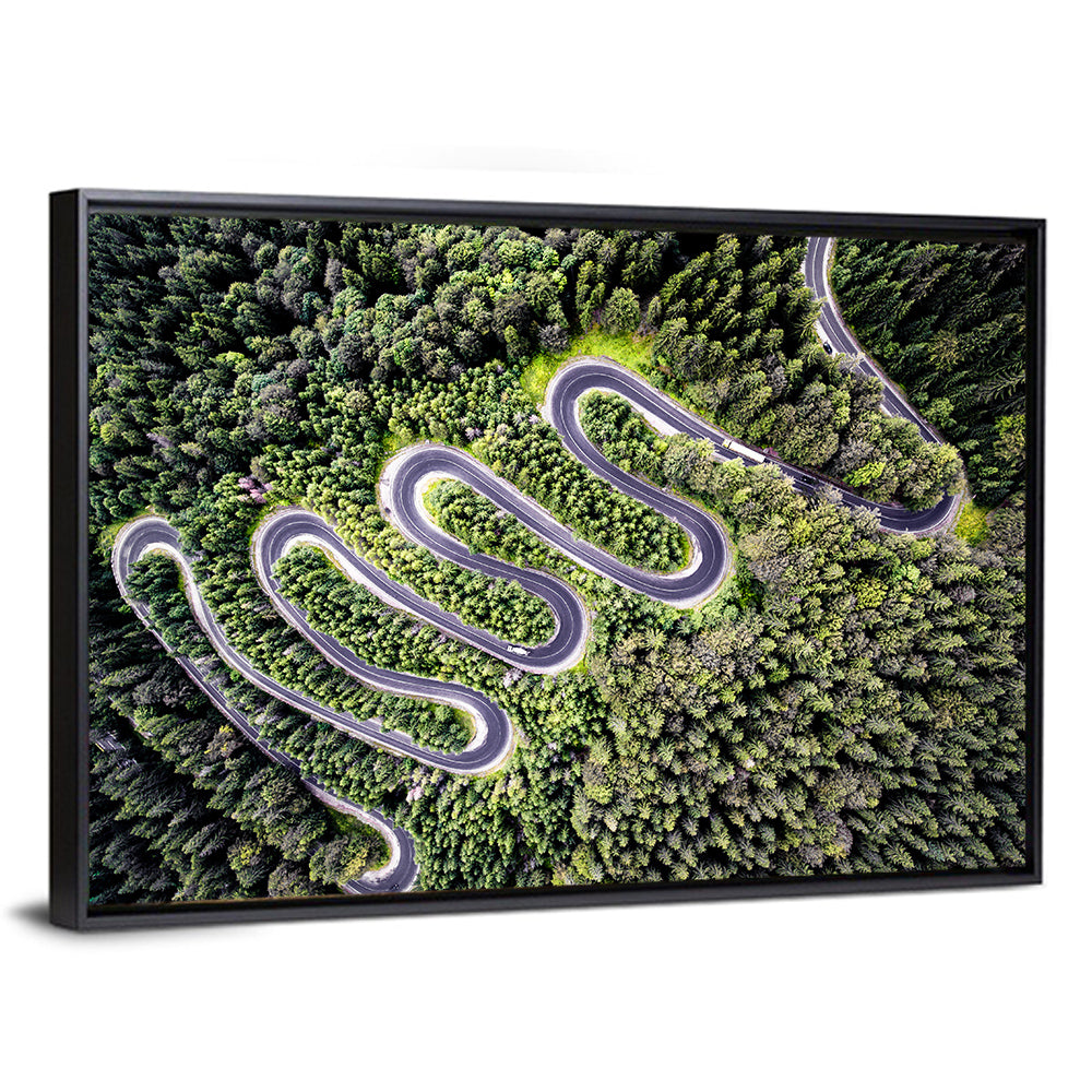 Curvy Road Wall Art