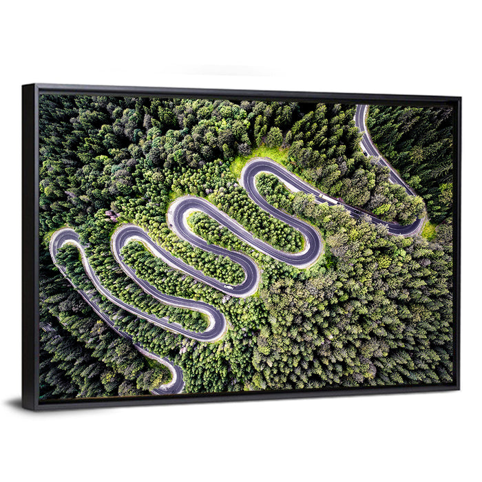 Serpentine Mountain Road Wall Art as a framed canvas