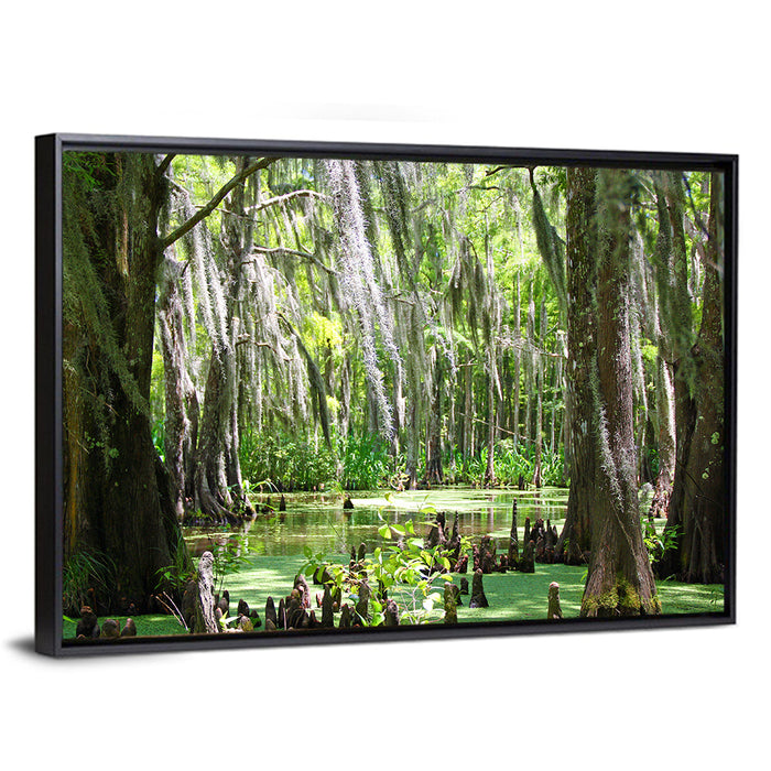 Louisiana Cypress Swamp Wall Art as a framed canvas