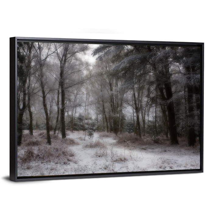 New Forest Winter Path Wall Art as a framed canvas