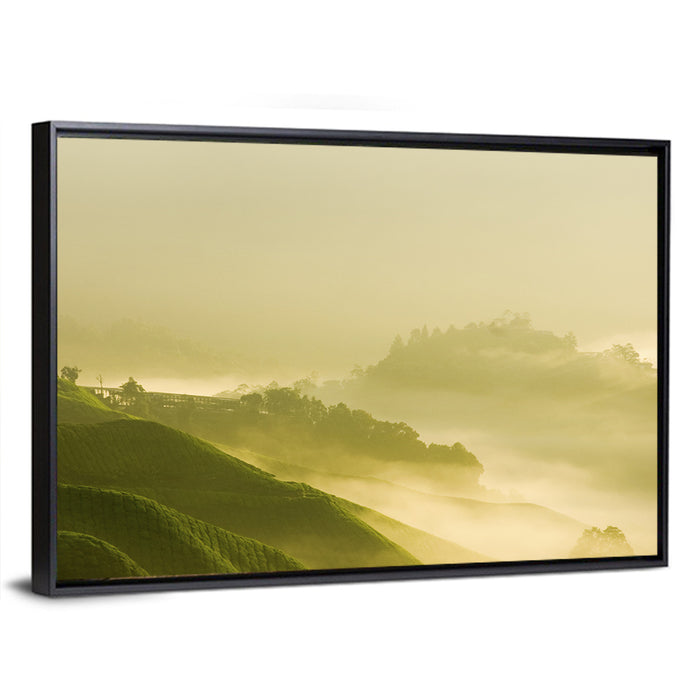 Tea Plantation Morning Mist Wall Art as a framed canvas