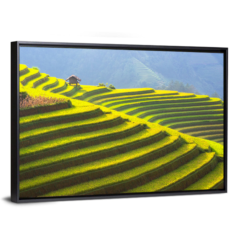 Rice Terrace Vietnam Wall Art