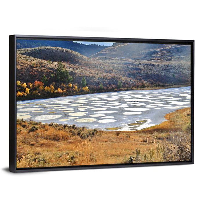 Spotted Lake Osoyoos Wall Art as a framed canvas