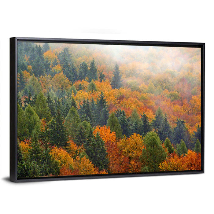 Misty Autumn Forestscape Wall Art as a framed canvas