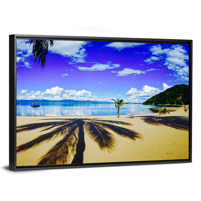 Lake Malawi Palm Shadow Wall Art as a framed canvas