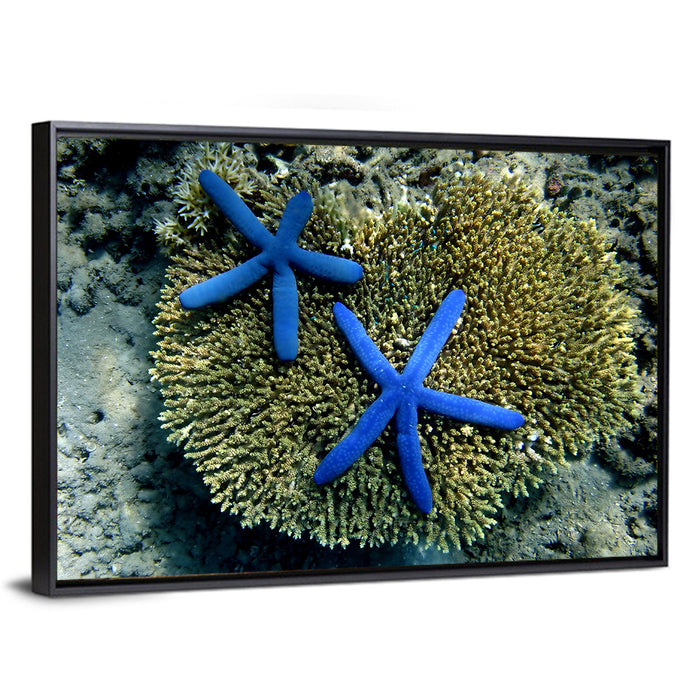Blue Starfish Wall Art as a framed canvas