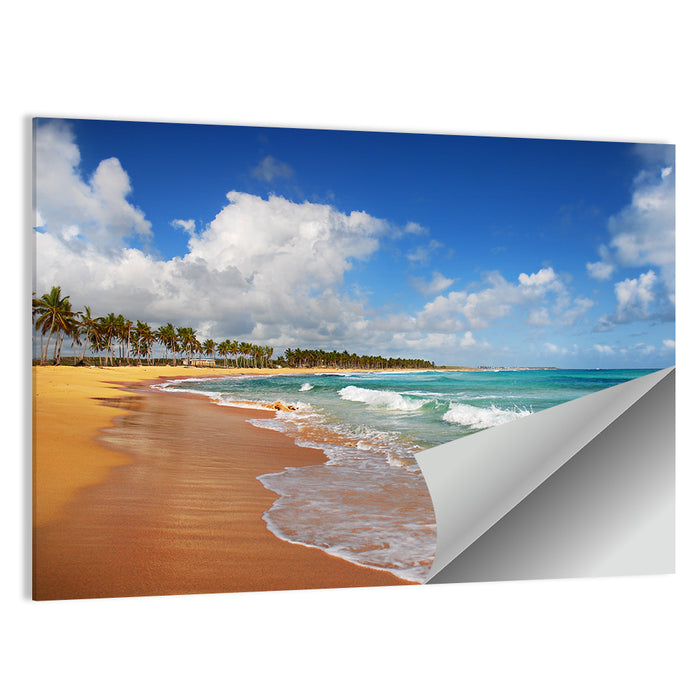 Palm Lined Tropical Coast Wall Art as a poster print