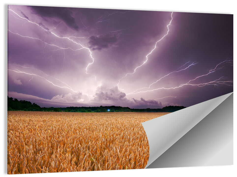 Wheat Field & Stormy Sky Wall Art