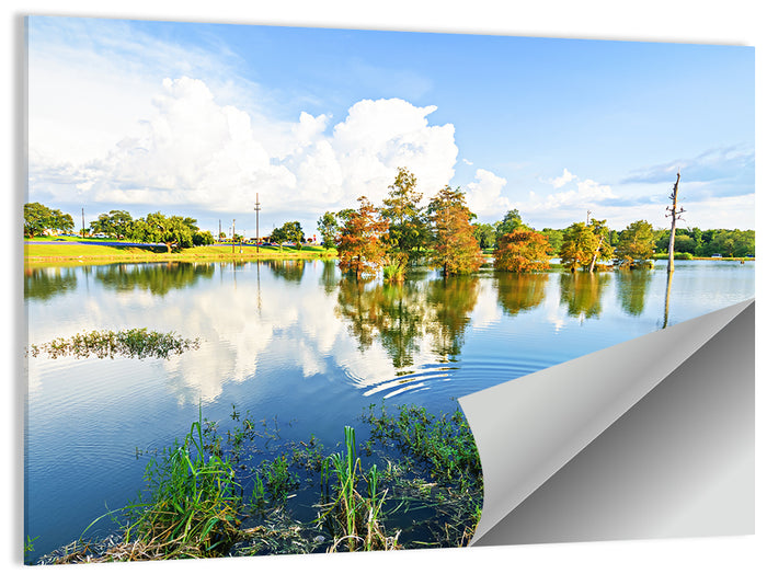Lafayette Bayou Reflection Wall Art as a poster print