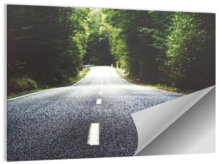 Summer Forest Road with Yellow Sign Wall Art as a poster print