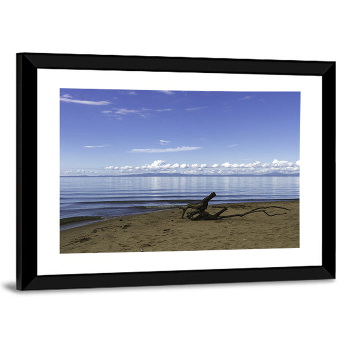 Shallow Lake Khanka Wall Art as a framed print