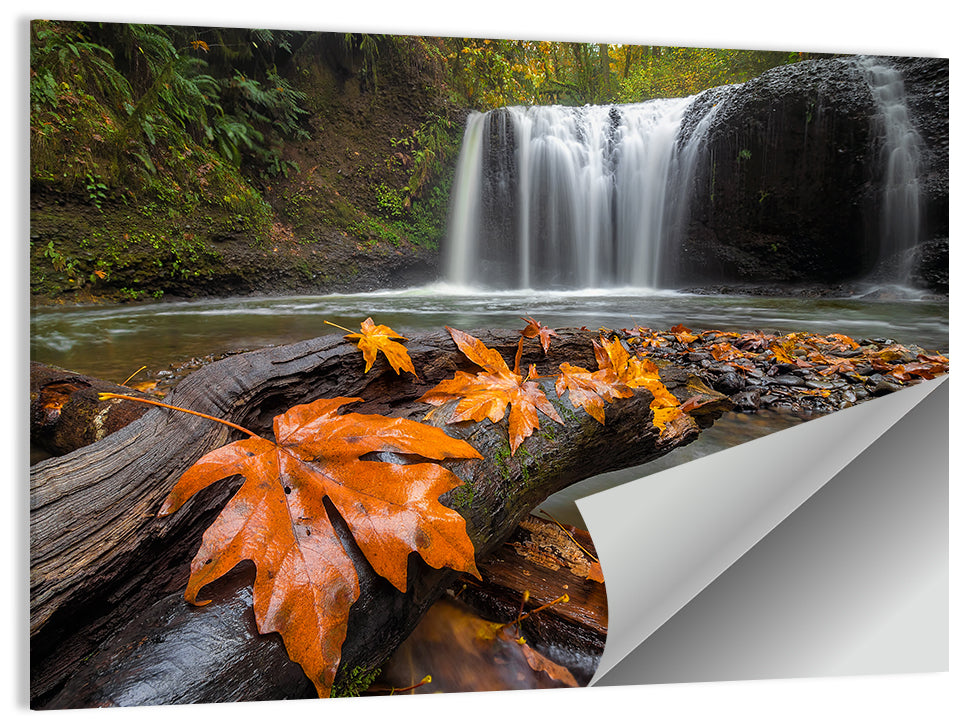 Clackamas Waterfall Wall Art