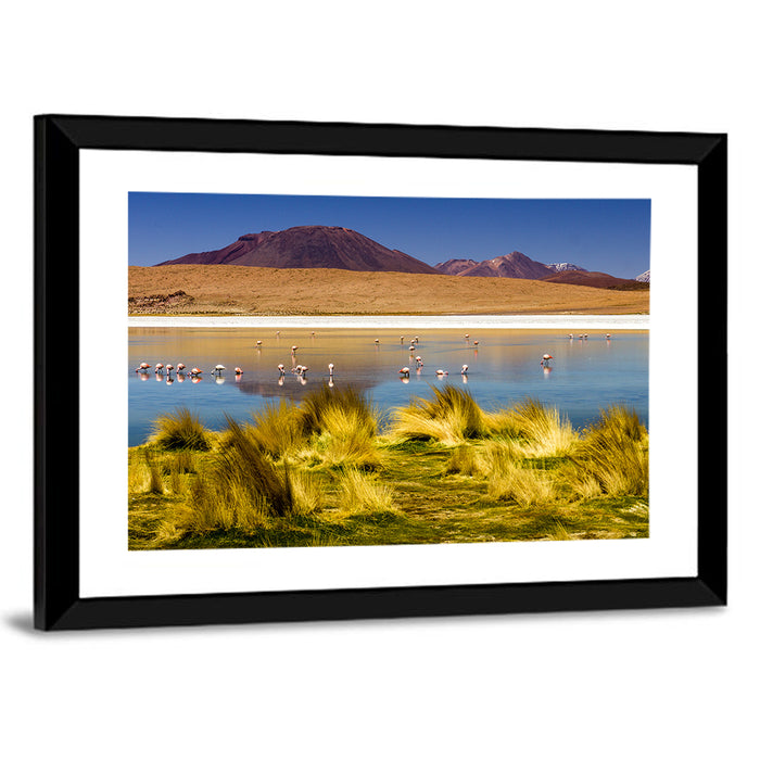 Flamingos on Salt Lake Wall Art as a framed print