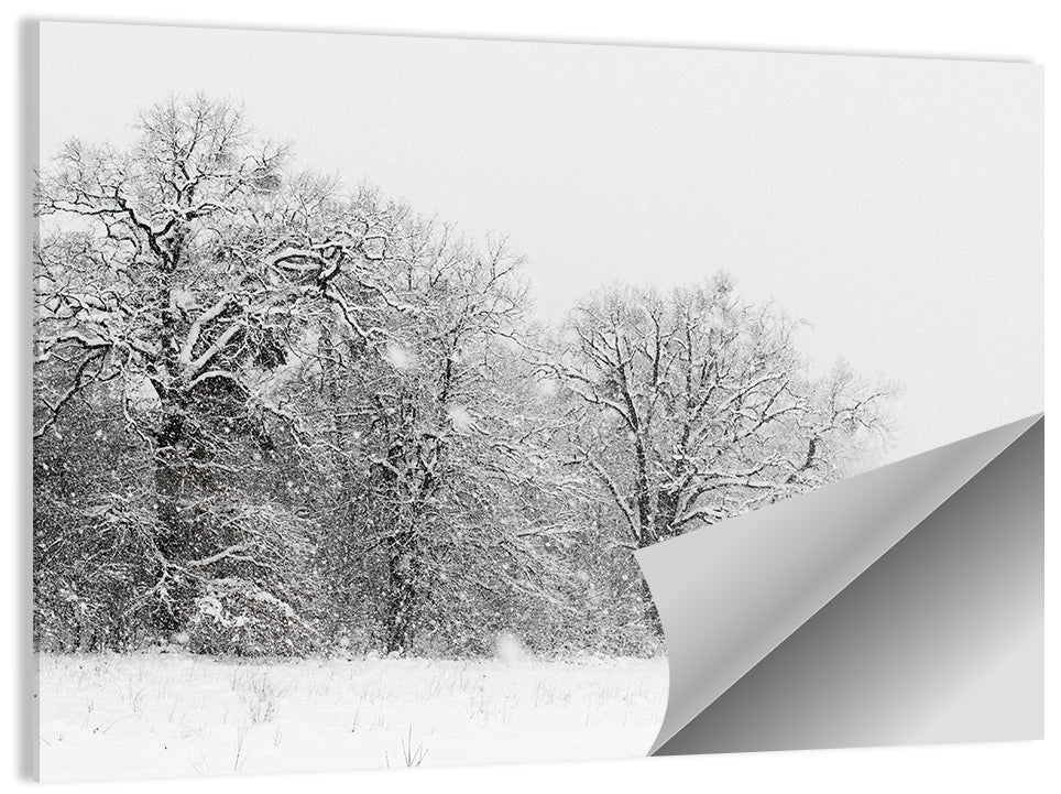 Foggy Winter Trees Wall Art