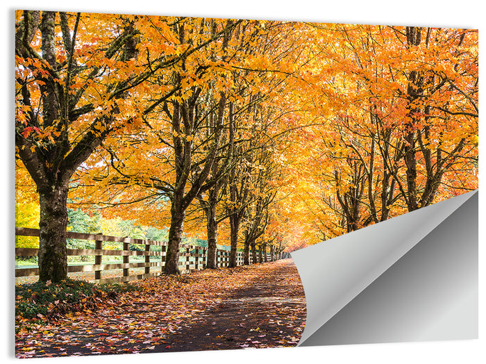 Maple Lane in Autumn Wall Art as a poster print
