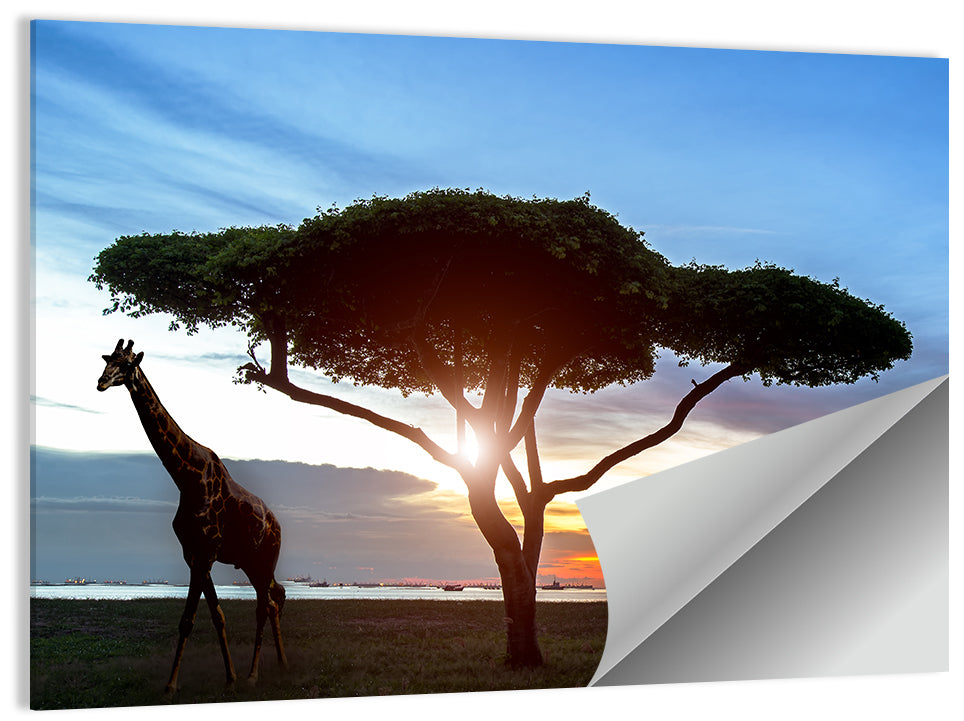 Safari Wildlife Wall Art