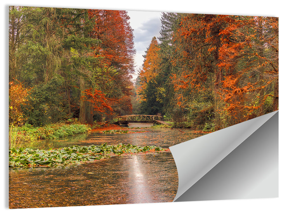 Simeria Arboretum Lake Wall Art