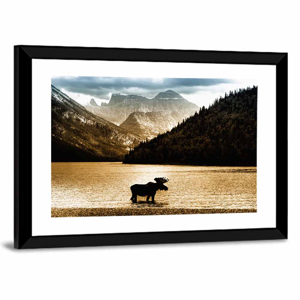 Moose In Waterton Lake Wall Art