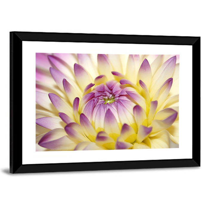 Dahlia Macro Portrait Wall Art as a framed print