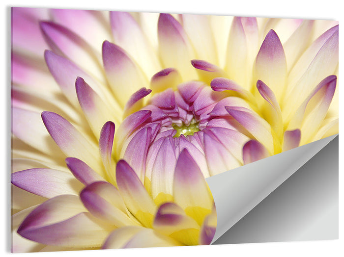 Dahlia Macro Portrait Wall Art as a poster print