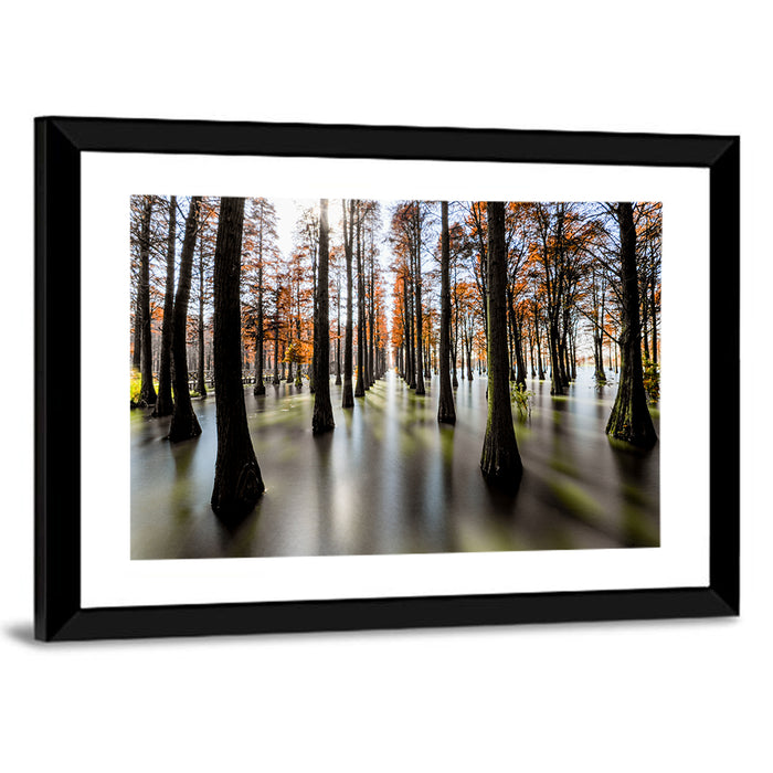Autumn Flooded Cypress Forest Wall Art as a framed print