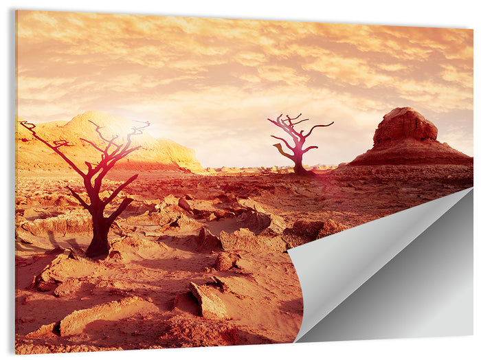 Gnarled Trees at Desert Sunset Wall Art as a poster print